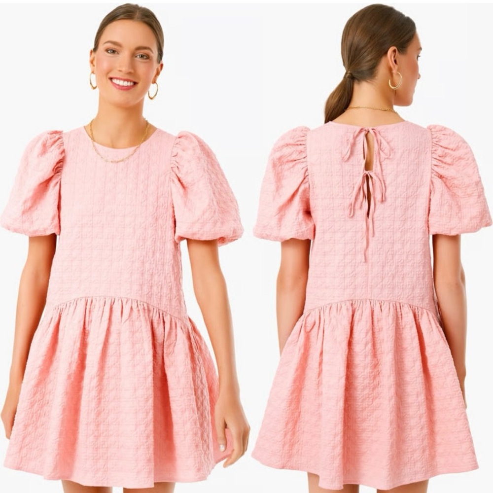NWT Tuckernuck pink puff dress